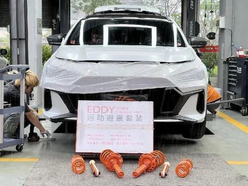 ultimo caso aziendale circa Lavori di installazione. Aggiornare GAC Trumpchi Shadow Leopard con ammortizzatori EDDY per kit sportivo.